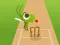 Игра Doodle Cricket онлайн