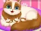 Игра Cute Kitty Pregnant онлайн