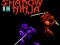 Игра Shadow of the Ninja онлайн