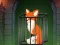 Игра Fox in the Forgotten Ruins онлайн