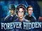 Игра Forever Hidden онлайн