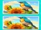 Игра Spot the Difference The Garden онлайн