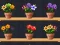 Игра Good Flower Master онлайн