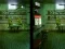 Игра Robot Bar Spot the differences онлайн