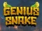 Игра Genius Snake онлайн