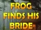 Игра Frog Finds His Bride онлайн