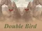 Игра Double Bird онлайн