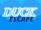 Игра Duck Escape онлайн