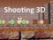 Игра Shooting 3D онлайн