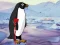 Игра Heal the Wounded Penguin онлайн