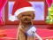 Игра Christmas ASMR Makerover Salon онлайн
