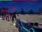Игра Zombie Survivor онлайн
