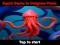 Игра Squid Game In Dalgona Panic онлайн