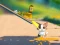 Игра Cat Challenge онлайн