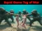 Игра Squid Game Tug Of War онлайн