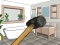 Игра Smash The Room To Pieces онлайн