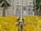 Игра Axe Of The Ancients Dwarven Fury онлайн