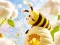 Игра Find The Differences: Little Bee's Adventure онлайн