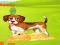 Игра Bunny Key Quest онлайн