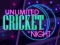 Игра Unlimited Cricket Night онлайн