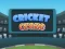 Игра Cricket Craze онлайн