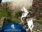 Игра Ertugrul Gazi Horse Sim онлайн