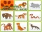 Игра Wild Animals Kids Memory game онлайн