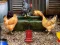 Игра Poultry Farm Easter Escape онлайн