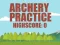 Игра Archery Practice онлайн