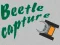 Игра Beetle Capture онлайн