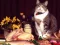 Игра Funny Cats Puzzle онлайн