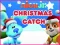 Игра Nick Jr. Christmas Catch онлайн