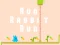 Игра Run Rabbit Run онлайн