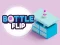 Игра Bottle Flip онлайн