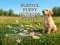 Игра Playful Puppy Outdoor Puzzle онлайн