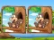 Игра Jungle 5 Diffs онлайн
