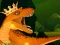 Игра The Dino King онлайн