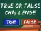 Игра  True Or False Challenge онлайн