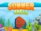Игра Summer Shell онлайн