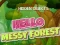 Игра Hidden Objects Hello Messy Forest онлайн