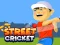 Игра Street Cricket онлайн