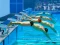 Игра Swimming Pool Race онлайн