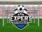 Игра Expert Goalkeeper онлайн
