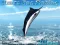 Игра Azure Sea Fishing онлайн