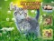 Игра Kittens Jigsaw онлайн