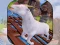 Игра Angry Goat Wild Animal Rampage онлайн