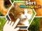 Игра Sort Photograph онлайн