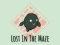Игра Lost In The Maze онлайн