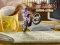 Игра Bike Mania 4 Micro Office онлайн