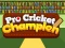 Игра Pro Cricket Champion онлайн